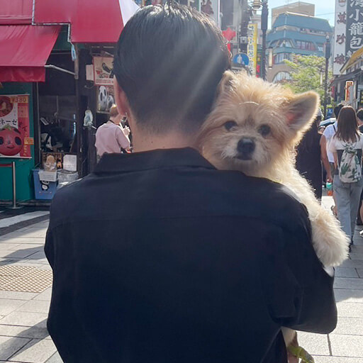 後藤 将人のアバター